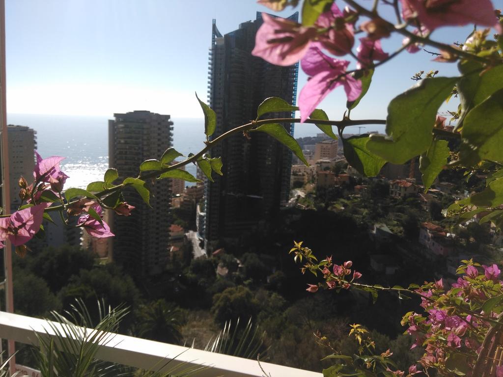 Monaco Pool Sea View Apartments Beausoleil Eksteriør billede